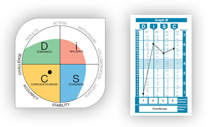 Personality and DISC Profile